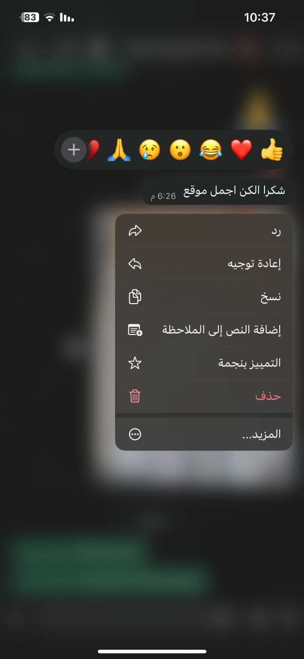 عصام من بيت لحم 